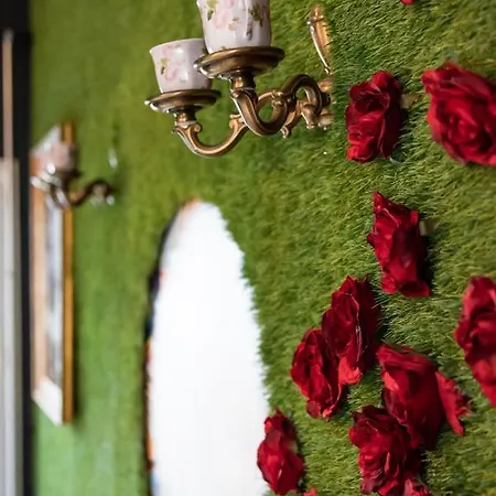 Insolite Alice In Wonderland